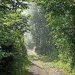 Brdjanka