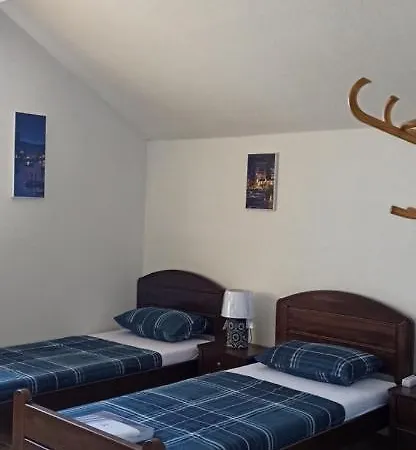 Проживание в семье Brdjanka *