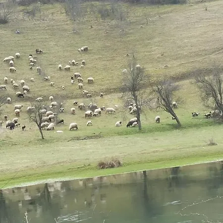 Rum i privatbostad Brdjanka