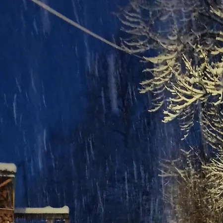 Brdjanka Проживание в семье