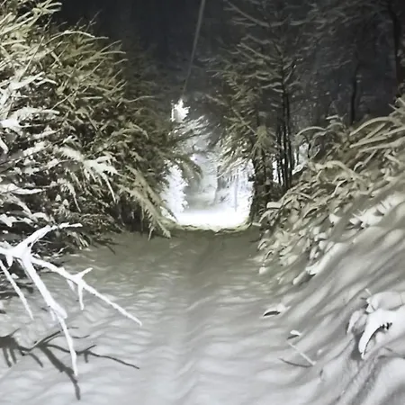 Brdjanka Проживание в семье