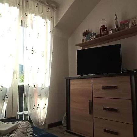 Проживание в семье Brdjanka