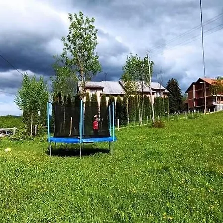 Проживание в семье Brdjanka