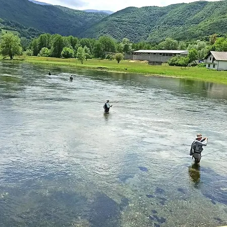 Проживание в семье Brdjanka *