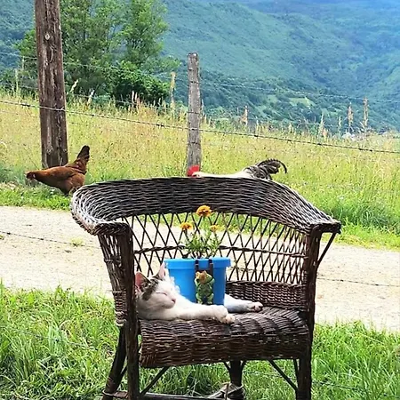 Brdjanka Проживание в семье Sipovo