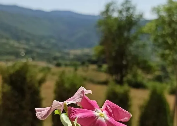 Quarto em Acomodações Particulares Brdjanka *